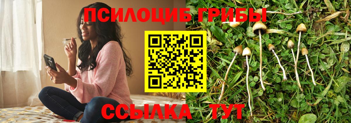 Псилоцибиновые грибы MAGIC MUSHROOMS Учалы